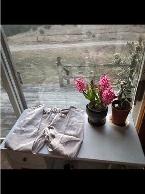 Hollister Light Beige Pants